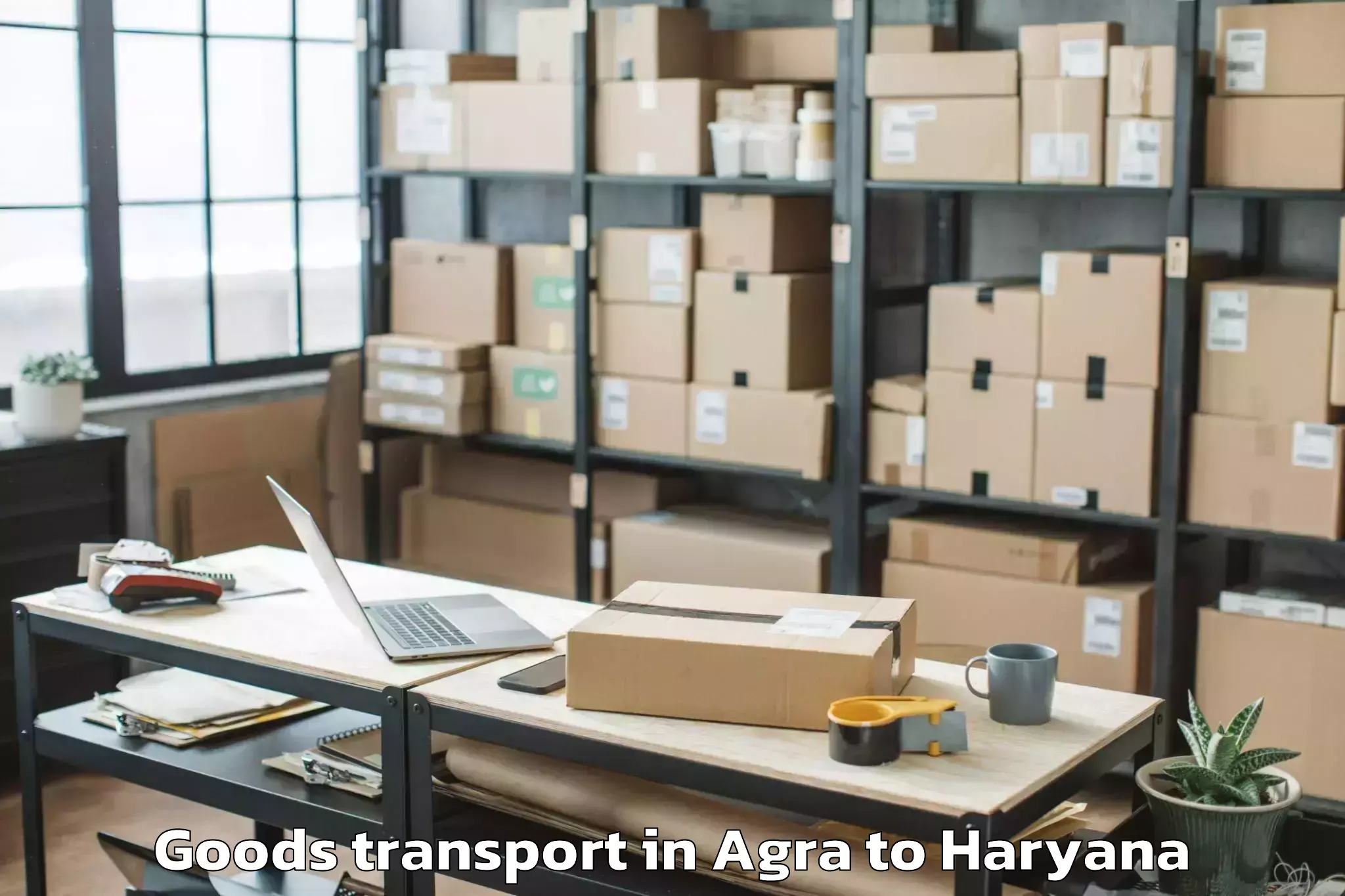 Affordable Agra to Sampla Goods Transport